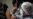 16x9 Image