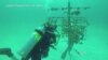 Scientists Toughening Coral Against Climate Change