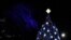 El árbol de Navidad de la Casa Blanca fue encendido por el mandatario estadounidense y su familia.