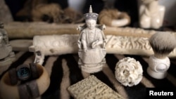 FILE - Ivory carvings seized by the U.K. Border Force at Heathrow Airport sit on display at Custom House near Heathrow in London, Britain, Nov. 22, 2017. 