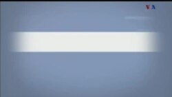 درختکاری و محيط زیست