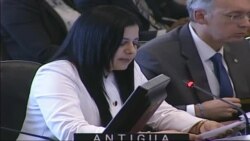 Desde la OEA se analiza la crisis en Nicaragua