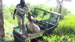 Kenyan Entrepreneur Turns Invasive Weed Into Profit