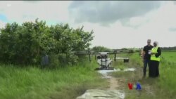 တန်ဇန်းနီးယား ဒရုန်းယာဉ်နဲ့ ခြင်ဆေးဖြန်းစနစ်