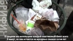 Биопластик из водорослей