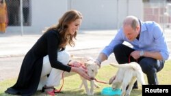 Kate, Duchess of Cambridge, and Prince William, Duke of Cambridge, visit an Army Canine Centre, where Britain provides support to a program that trains dogs to identify explosive devices, in Islamabad, Pakistan, Oct. 18, 2019.