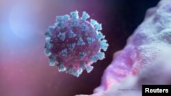 ภาพจำลองโครงสร้างโคโรนาไวรัสที่เป็นสาเหตุของโควิด-19 สร้างโดยบริษัท NEXU Science Communication (แฟ้มภาพ)