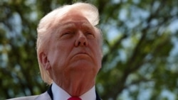 도널드 트럼프 미국 대통령