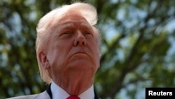 도널드 트럼프 미국 대통령