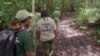 Visite guidée dans les mangroves impénétrables du Gabon