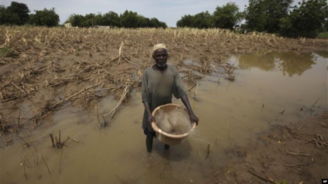 Wani manomi Ali Danladi cikin ruwa da ya bata masa gona a kusa da wa ni kauyen Ringim,kusa da Dutse,a jihar Jigawa.