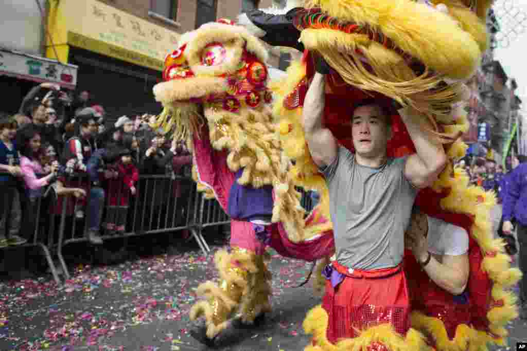 在纽约唐人街农历新年游行中，有人舞龙。（2014年2月2日）