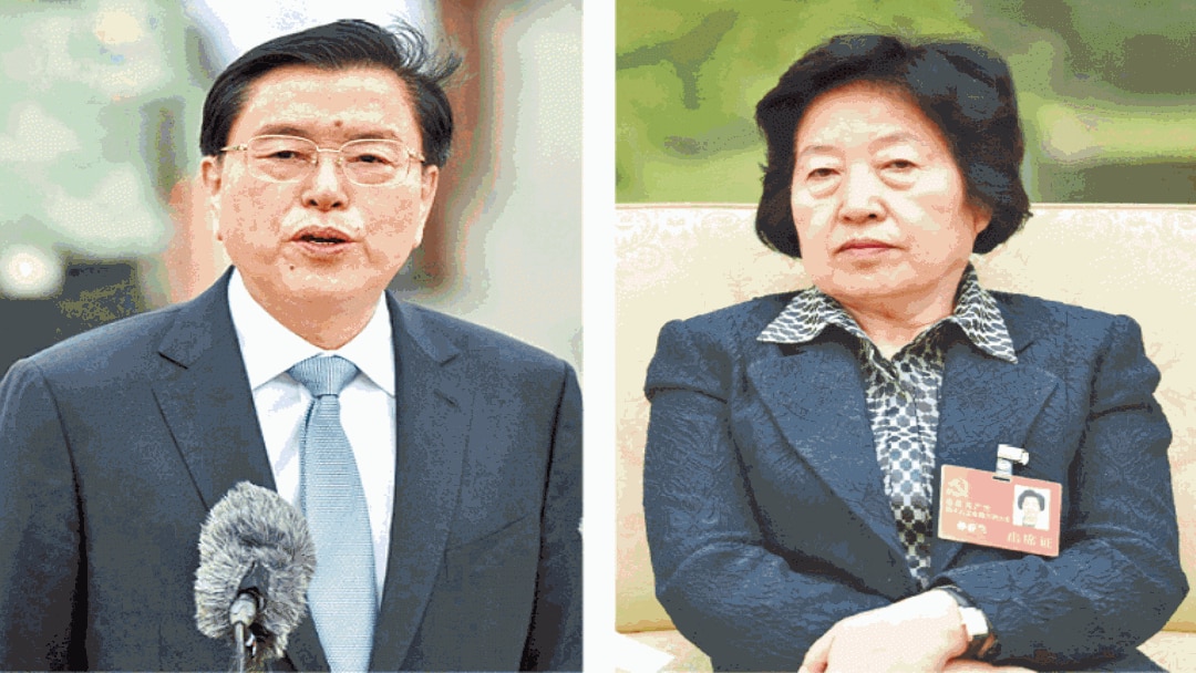 香港傳媒報導指張德江(左)和孫春蘭南下深圳力挺林鄭(蘋果日報圖片)