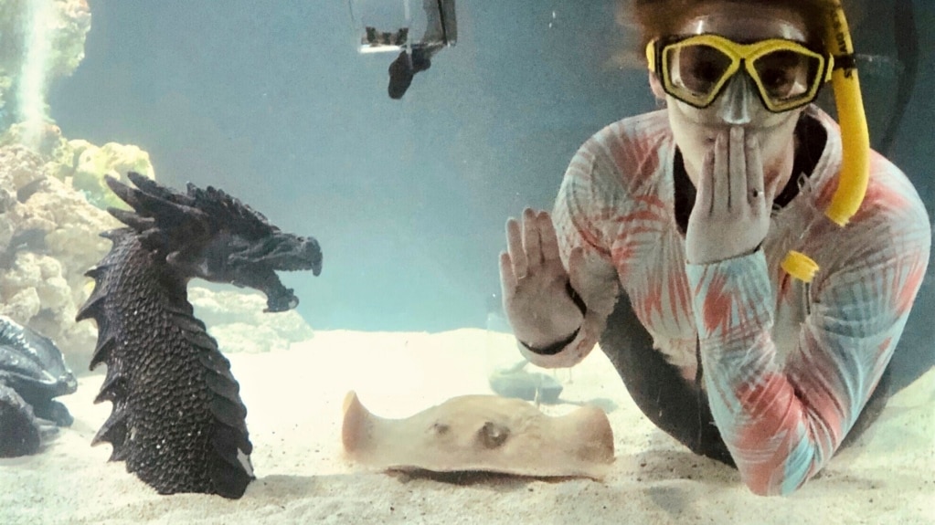 Pregnant Stingray Offers Rare Lesson of Biology