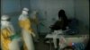 世衛組織：伊波拉病例恐會突破50萬