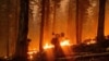 Firefighters Continue Battling Wildfires in Oregon, Other Western US States