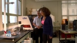 طبیعت بهتر می‌داند – استحکام