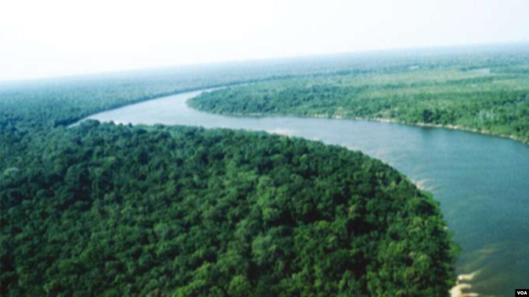Brasil anunció que la deforestación del Amazonas es la más baja desde 1988.
