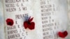 Thousands Gather to Remember the Fallen at Gallipoli Centenary