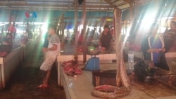 Di Tengah Isu Corona, Pasar Ekstrem Tomohon Masih Jual Daging Ular dan Kelelawar