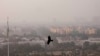 FILE - A bird flies through a thick layer of smog in New Delhi, India, Nov. 20, 2024.