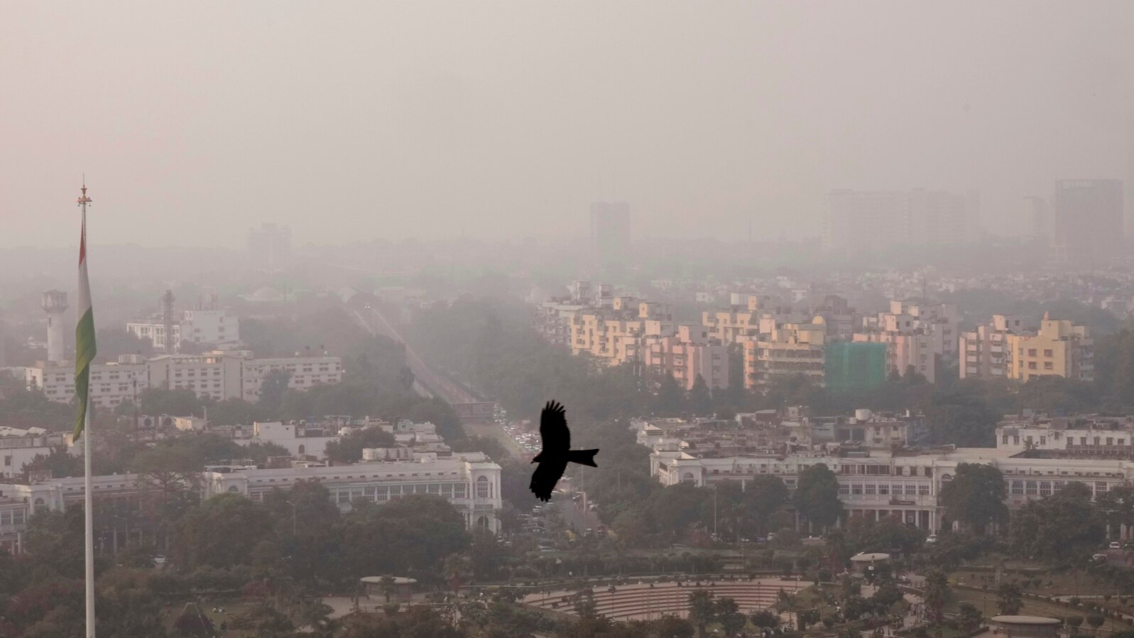 FILE - A bird flies through a thick layer of smog in New Delhi, India, Nov. 20, 2024.