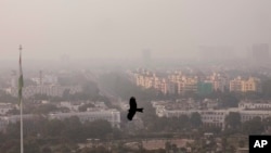 FILE - A bird flies through a thick layer of smog in New Delhi, India, Nov. 20, 2024.