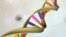 FILE - A DNA double helix is seen in an undated artist's illustration released by the National Human Genome Research Institute. 