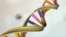 A DNA double helix is seen in an undated artist's illustration released by the National Human Genome Research Institute to Reuters on May 15, 2012. 