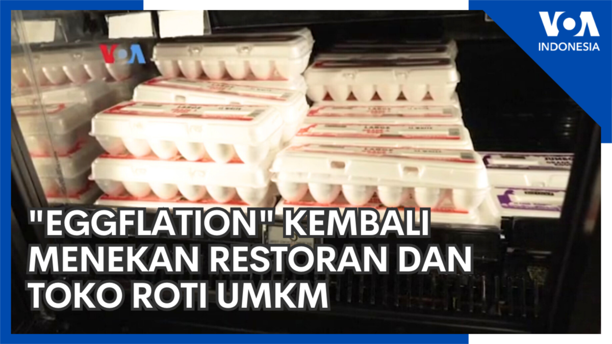 “Eggflation” Kembali Menekan Restoran dan Toko Roti UMKM