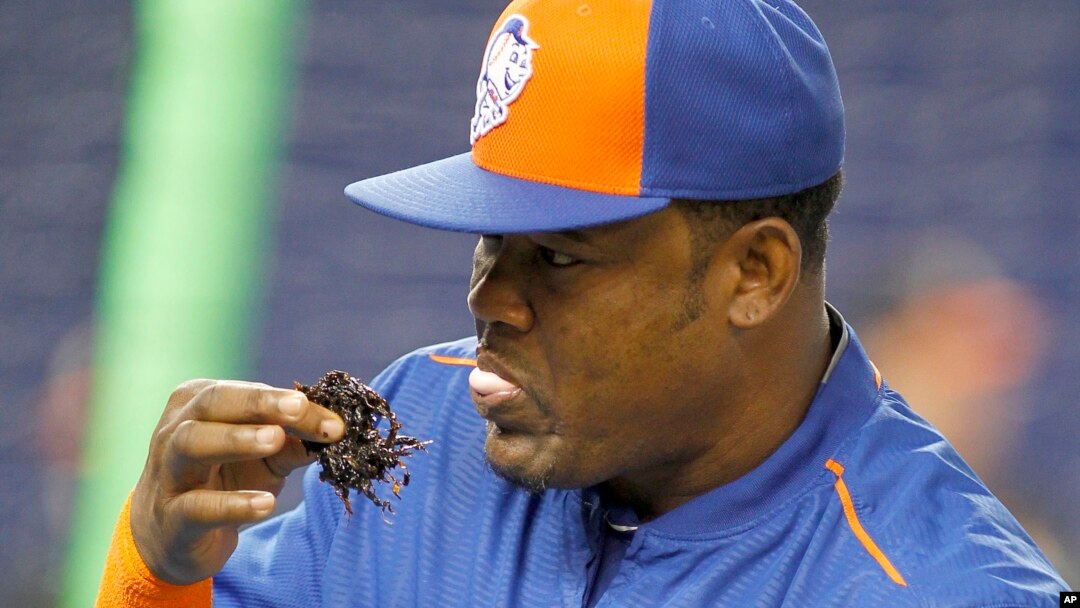 dave roberts chewing tobacco Los Angeles Dodgers manager (30) grabs bubble gum prior to a game against the MLB sends reminder: No dipping