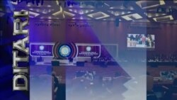 Ditari - Shqipëri, rritja e ndërgjegjësimit rrit rastet e denoncimit të dhunës ndaj grave