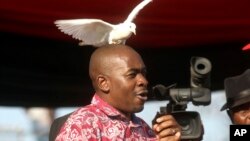 Mutungamiri weMDC, VaNelson Chamisa, vari kukurudzira kuti vana veZimbabwe vanamate pamwe nekutsanya kwemazuva manomwe.