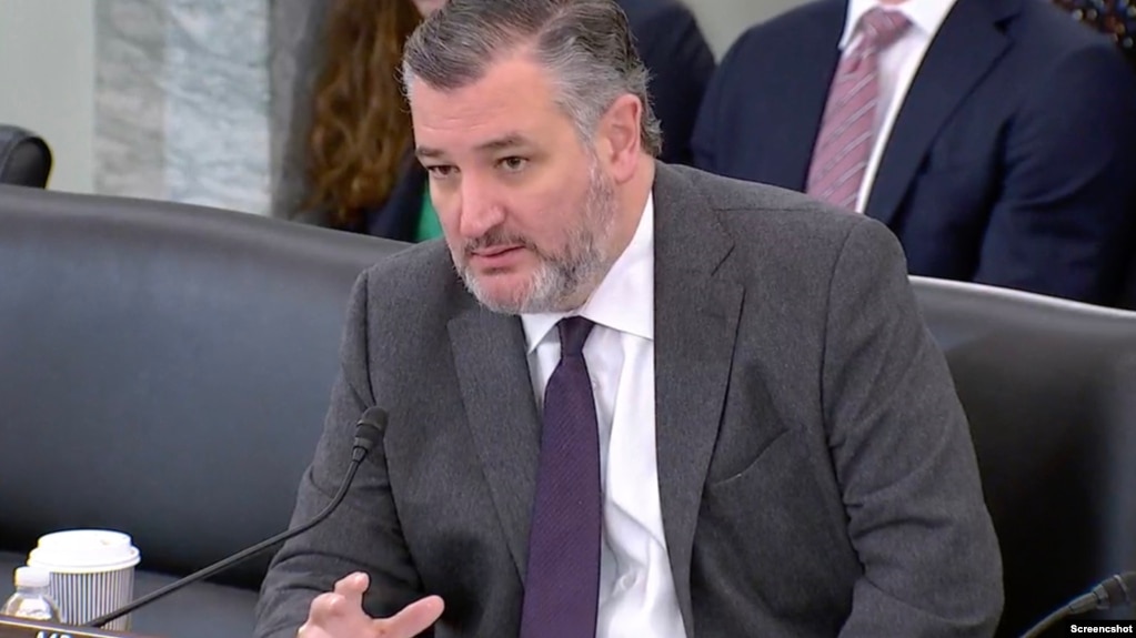 美国国会参议院商务、科学及运输委员会主席泰德·克鲁兹(Ted Cruz)2月12日在该委员会听证会上发言。