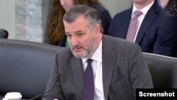 سناتور تد کروز 