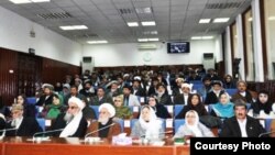 Afg'oniston parlamenti yuqori palatasi