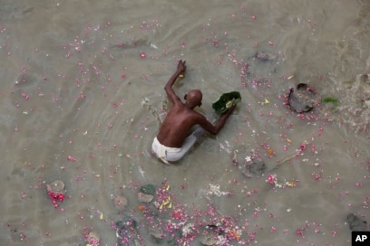 Mushukdagi sperma fotosuratlariga qarang Mushukdagi sperma fotosuratlariga qarang