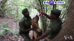 Manchetes Africanas 16 Março 2016