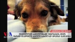 ამერიკა 60 წამში