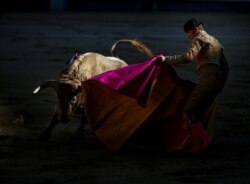 FILE - Bullfighter Adrian Henche performs a pass to a bull during the Pilar's bullfighting fair at Las Ventas bullring in Madrid, Spain, October 8, 2017.