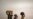 Agency Appeals for More Money For Migrants Fleeing Libya