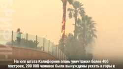 Спасенный в Малибу