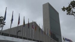 EE.UU. define sus prioridades en la ONU