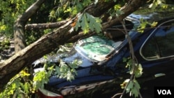 Las tormentas no sólo derribaron líneas del tendido eléctrico sino que también provocaron muertos y destrozos.