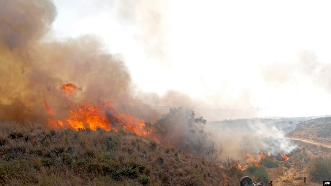 Pekerja Israel dari Nature and Parks Authority mencoba memadamkan api yang disebabkan oleh balon api yang diluncurkan dari Jalur Gaza, dekat Be'eri Kibbutz, 13 Agustus 2020. (Foto: AFP/Jack Guez)