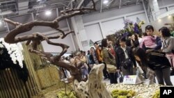 Visitors explore the Taipei International Flora Expo, which runs through 25 Apr 2011 in Taipei, Taiwan, 6 Nov 2010