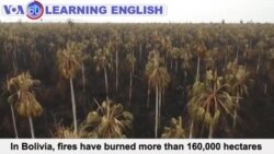 VOA60: August 27, 2019