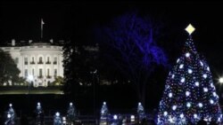 The National Christmas Tree on the Ellipse across from the White House