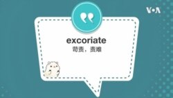 学个词 - excoriate