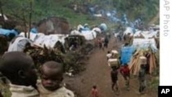 Des déplacés congolais campant dans la forêt (Archives)